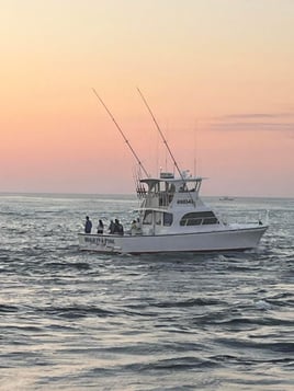 8 Hr Offshore Fishing