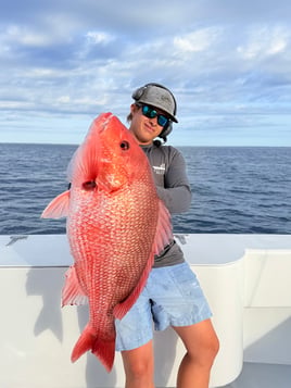 8 Hr Offshore Fishing