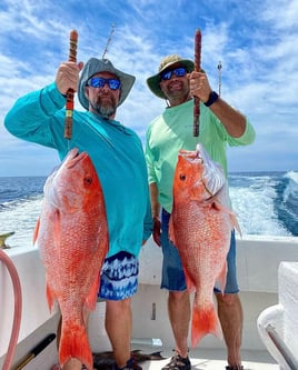 8 Hr Offshore Fishing