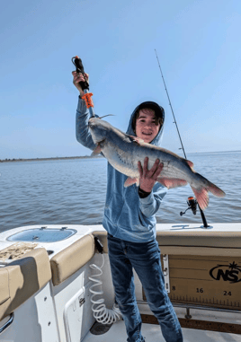Summer Catfish/Perch