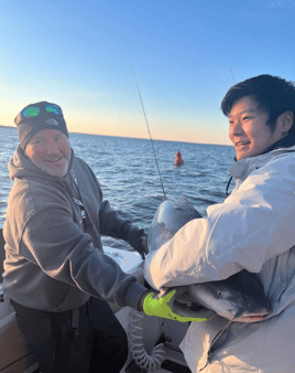 Summer Catfish/Perch