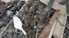 Texas Coastal Marsh Duck Hunt