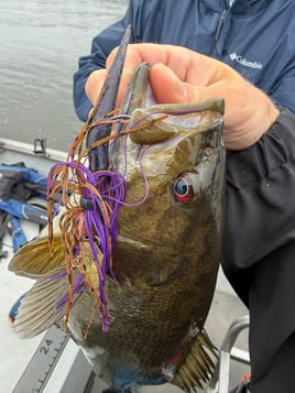 Smallmouth Bass Fishing Trip