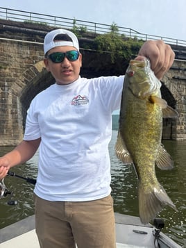 Smallmouth Bass Fishing Trip