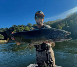 Salmon And Steelhead Fishing Trip