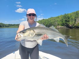 Kennebec River Striper Charter
