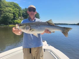 Kennebec River Striper Charter