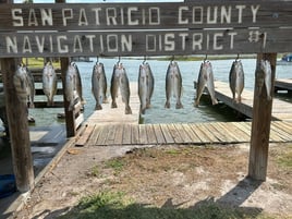 Inshore Bay Fishing 