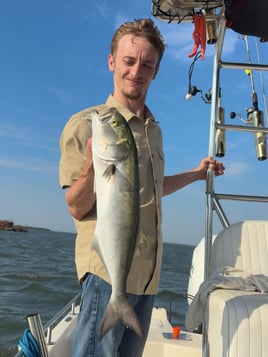 4 To 6 Hour Inshore Fishing Trip