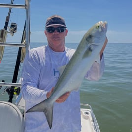 4 To 6 Hour Nearshore Fishing Trip