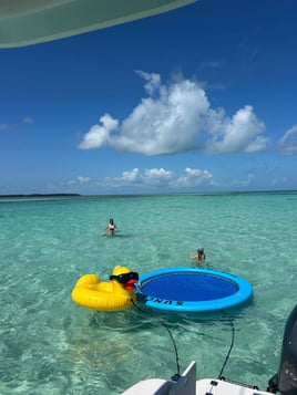Sandbar Tour