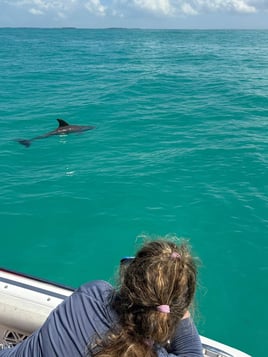 Sandbar Tour