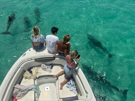 Sandbar Tour