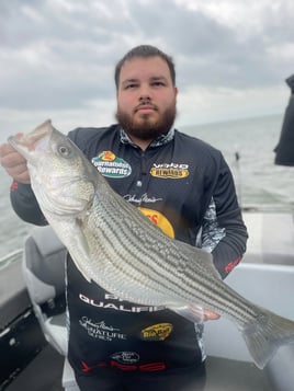 Day Trip – Striper Fish Fun