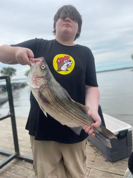 Day Trip – Striper Fish Fun