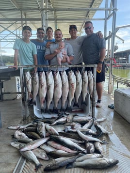 Day Trip – Striper Fish Fun