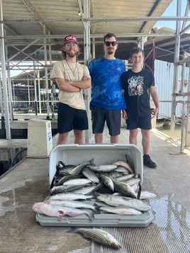 Day Trip – Striper Fish Fun