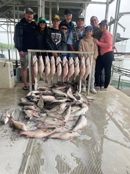 Day Trip – Striper Fish Fun