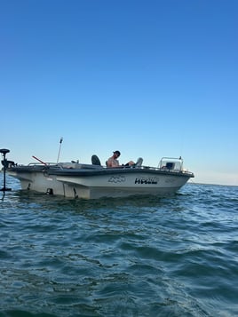 Day Trip – Striper Fish Fun