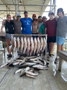 Day Trip – Striper Fish Fun