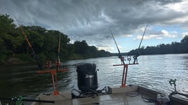 Spoonbill And Catfish Trips