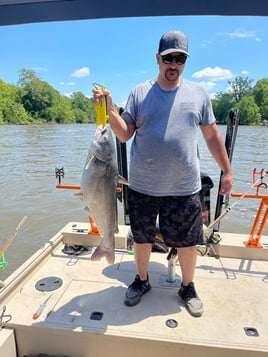 Spoonbill And Catfish Trips