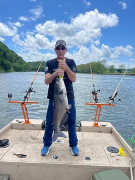 Spoonbill And Catfish Trips