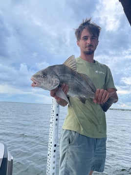 Inshore Slam