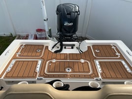 Snook And Trout And Redfish Oh My!