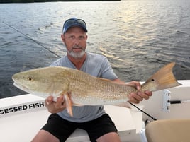  Inshore Trips - Catch & Release
