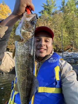 4 Hour Ontario River Fishing