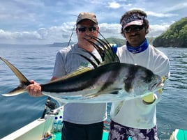 Half Day Inshore Fishing