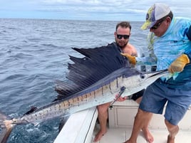4-8 Hour Offshore Fishing Trip