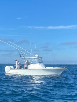 Half Day Inshore 