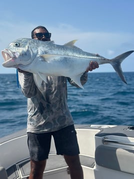 Maldives Sports Fishing