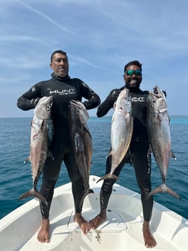 Maldives Sports Fishing