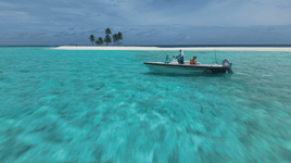 Maldives Sports Fishing
