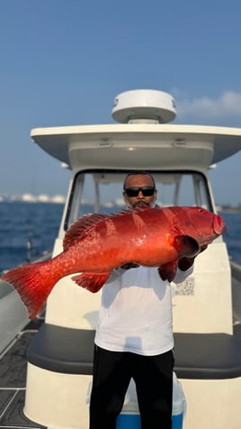 Maldives Sports Fishing