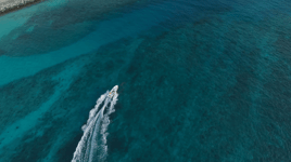 Maldives Sports Fishing