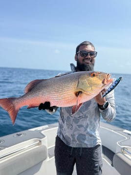 Maldives Holiday Fishing
