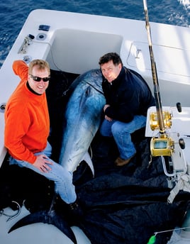 BIG Tuna Run