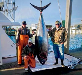 BIG Tuna Run