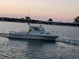 Walleye & Yellow Perch FIshing
