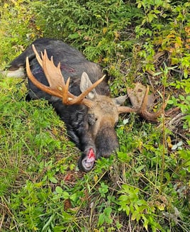 Moose Hunting Trip