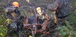 Maine Moose Hunt