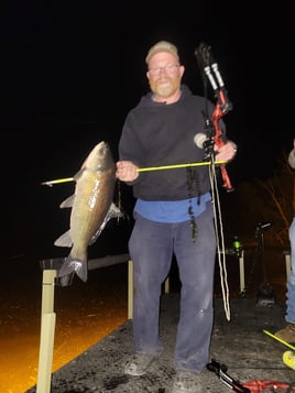 Lake Bowfishing