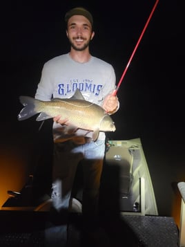 Lake Bowfishing