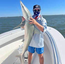 2hr Shark Trip