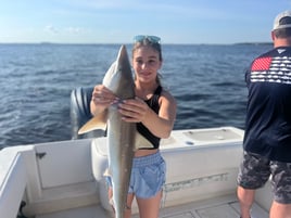 2hr Shark Trip