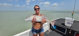 3hr "Hit & Run" Fishing Trip